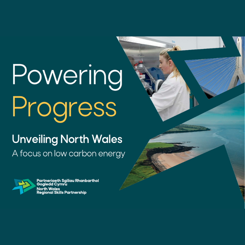 Power Progress: Low Carbon Energy